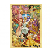 美麗綻放的少女（迪士尼公主）500塊,  size:35x49cm