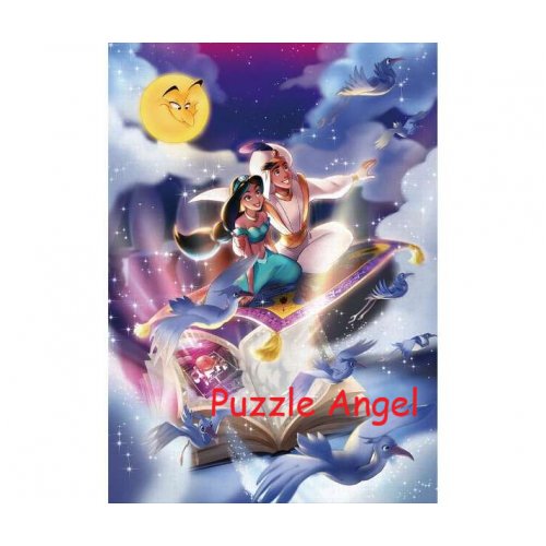 飛向自由的故事（阿拉丁）500塊, ,  size:35x49cm