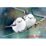 斑馬蛾300 塊拼圖, size:26x38cm