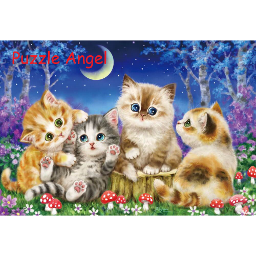 月光之夜來玩（原井加代美）300塊砌圖, size：26×38cm