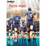 遊戲開始！ 排球少年 haikyu 500 塊拼圖, size:38x53cm