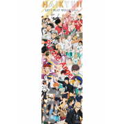 排球少年 ！ 編年史 （排球！！） 950 塊拼圖, size:34x102cm