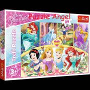 Princess Puzzle 24塊, size:60x40cm