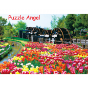 鬱金香 -薰花-（富山）108塊, 大片裝砌圖,  size:26x38cm