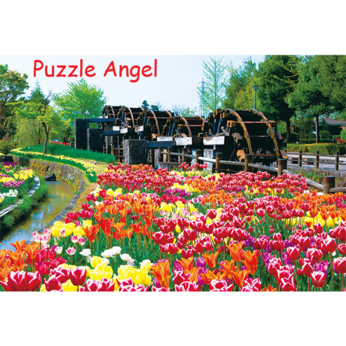 鬱金香 -薰花-（富山）108塊, 大片裝砌圖,  size:26x38cm