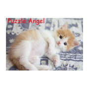 Cat 300塊,  size:26x38cm