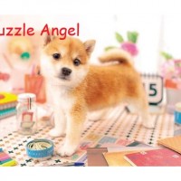 貓狗動物雀鳥恐龍